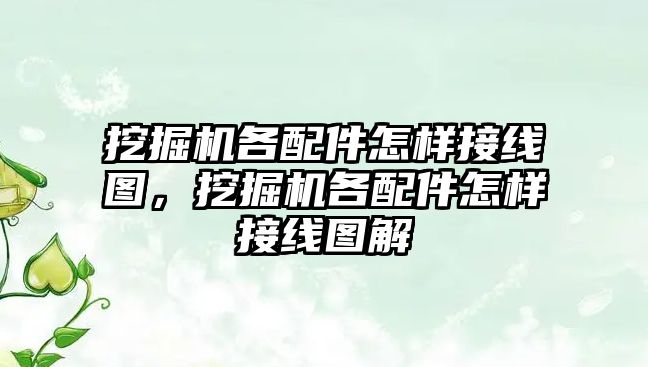 挖掘機各配件怎樣接線圖，挖掘機各配件怎樣接線圖解