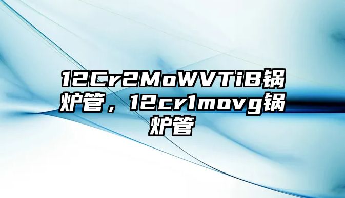 12Cr2MoWVTiB鍋爐管，12cr1movg鍋爐管