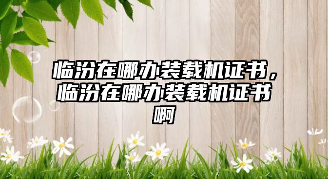 臨汾在哪辦裝載機證書，臨汾在哪辦裝載機證書啊