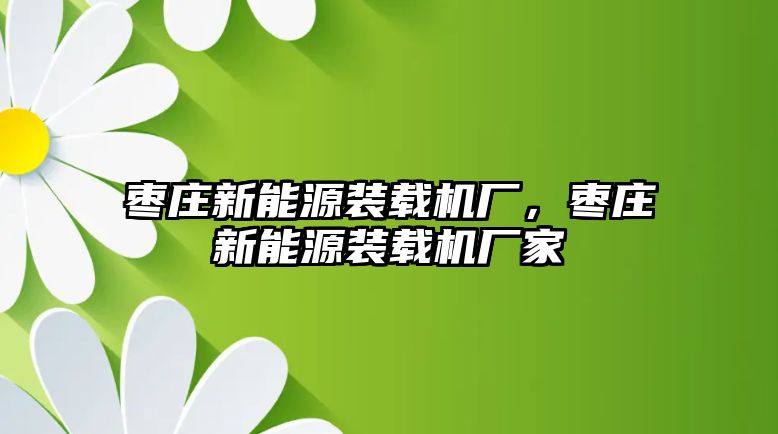 棗莊新能源裝載機廠，棗莊新能源裝載機廠家