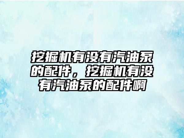 挖掘機(jī)有沒(méi)有汽油泵的配件，挖掘機(jī)有沒(méi)有汽油泵的配件啊