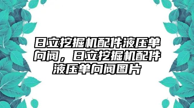 日立挖掘機(jī)配件液壓單向閥，日立挖掘機(jī)配件液壓單向閥圖片