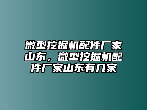 微型挖掘機配件廠家山東，微型挖掘機配件廠家山東有幾家