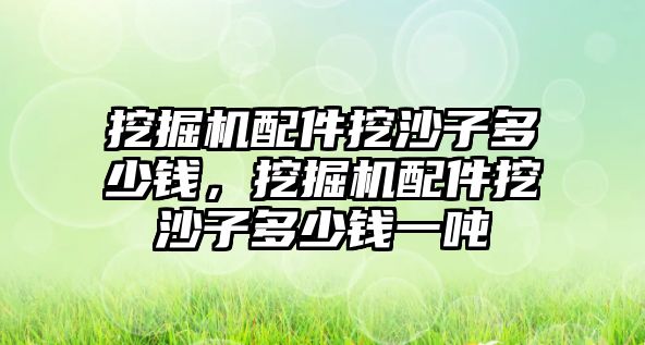 挖掘機配件挖沙子多少錢，挖掘機配件挖沙子多少錢一噸