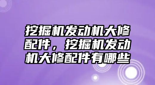 挖掘機發(fā)動機大修配件，挖掘機發(fā)動機大修配件有哪些