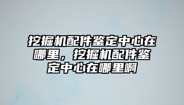 挖掘機配件鑒定中心在哪里，挖掘機配件鑒定中心在哪里啊