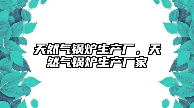 天然氣鍋爐生產廠，天然氣鍋爐生產廠家