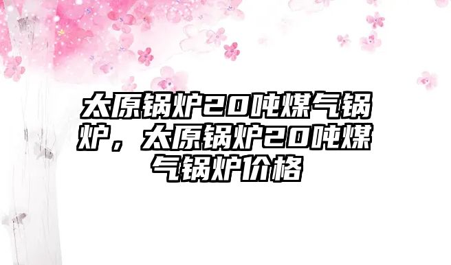 太原鍋爐20噸煤氣鍋爐，太原鍋爐20噸煤氣鍋爐價格