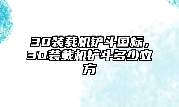 30裝載機鏟斗國標，30裝載機鏟斗多少立方