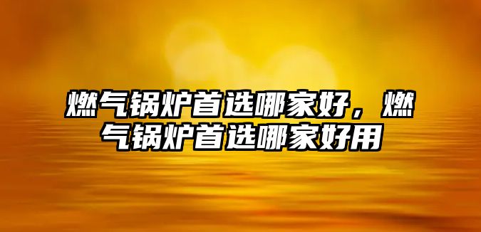 燃氣鍋爐首選哪家好，燃氣鍋爐首選哪家好用