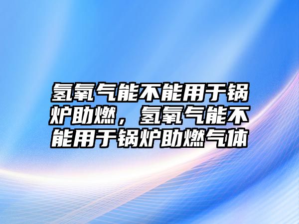 氫氧氣能不能用于鍋爐助燃，氫氧氣能不能用于鍋爐助燃氣體