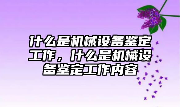 什么是機械設備鑒定工作，什么是機械設備鑒定工作內容