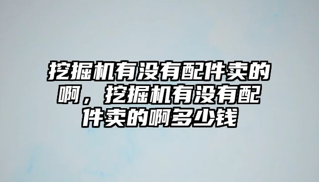 挖掘機(jī)有沒有配件賣的啊，挖掘機(jī)有沒有配件賣的啊多少錢