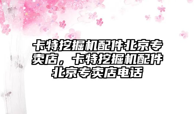 卡特挖掘機配件北京專賣店，卡特挖掘機配件北京專賣店電話