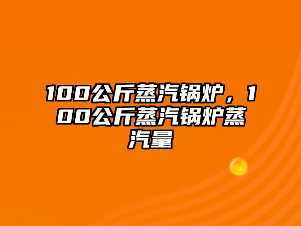 100公斤蒸汽鍋爐，100公斤蒸汽鍋爐蒸汽量