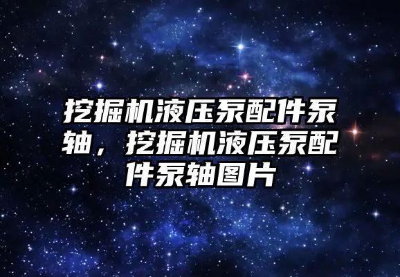 挖掘機液壓泵配件泵軸，挖掘機液壓泵配件泵軸圖片