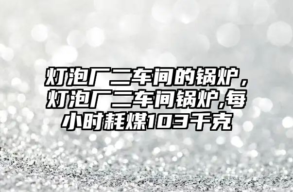 燈泡廠二車間的鍋爐，燈泡廠二車間鍋爐,每小時耗煤103千克