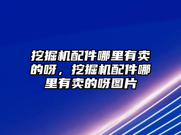 挖掘機配件哪里有賣的呀，挖掘機配件哪里有賣的呀圖片