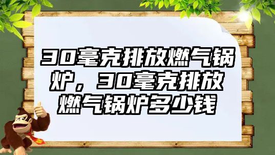 30毫克排放燃氣鍋爐，30毫克排放燃氣鍋爐多少錢