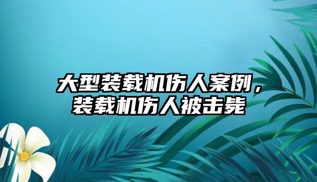 大型裝載機傷人案例，裝載機傷人被擊斃