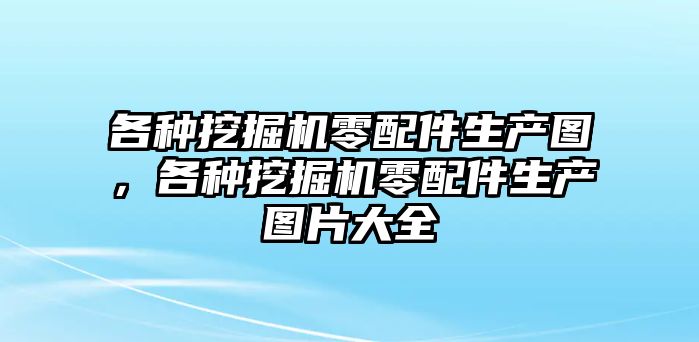 各種挖掘機(jī)零配件生產(chǎn)圖，各種挖掘機(jī)零配件生產(chǎn)圖片大全