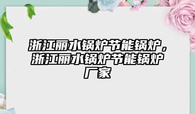 浙江麗水鍋爐節能鍋爐，浙江麗水鍋爐節能鍋爐廠家