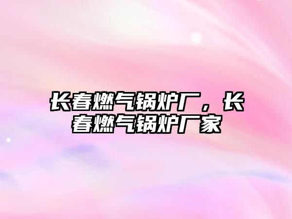 長春燃?xì)忮仩t廠，長春燃?xì)忮仩t廠家