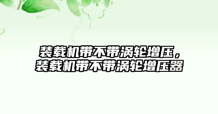 裝載機(jī)帶不帶渦輪增壓，裝載機(jī)帶不帶渦輪增壓器