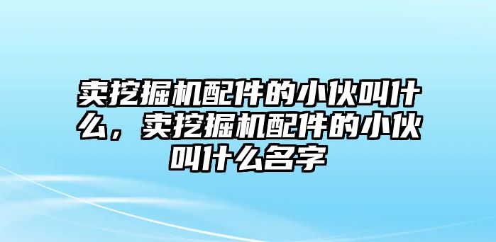 賣挖掘機配件的小伙叫什么，賣挖掘機配件的小伙叫什么名字