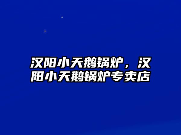 漢陽小天鵝鍋爐，漢陽小天鵝鍋爐專賣店