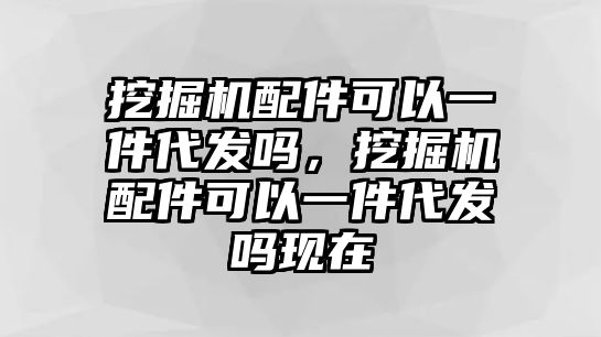 挖掘機(jī)配件可以一件代發(fā)嗎，挖掘機(jī)配件可以一件代發(fā)嗎現(xiàn)在