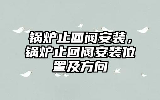 鍋爐止回閥安裝，鍋爐止回閥安裝位置及方向