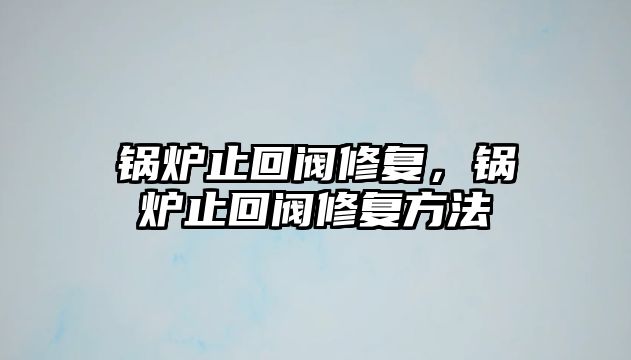 鍋爐止回閥修復，鍋爐止回閥修復方法