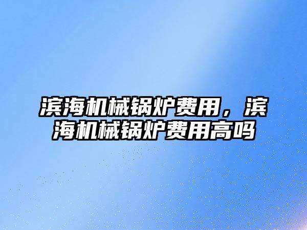 濱海機械鍋爐費用，濱海機械鍋爐費用高嗎