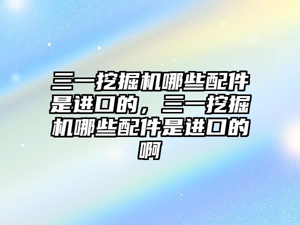 三一挖掘機哪些配件是進口的，三一挖掘機哪些配件是進口的啊