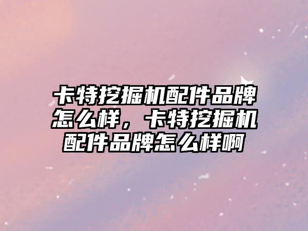 卡特挖掘機配件品牌怎么樣，卡特挖掘機配件品牌怎么樣啊