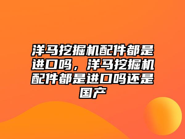 洋馬挖掘機配件都是進口嗎，洋馬挖掘機配件都是進口嗎還是國產(chǎn)