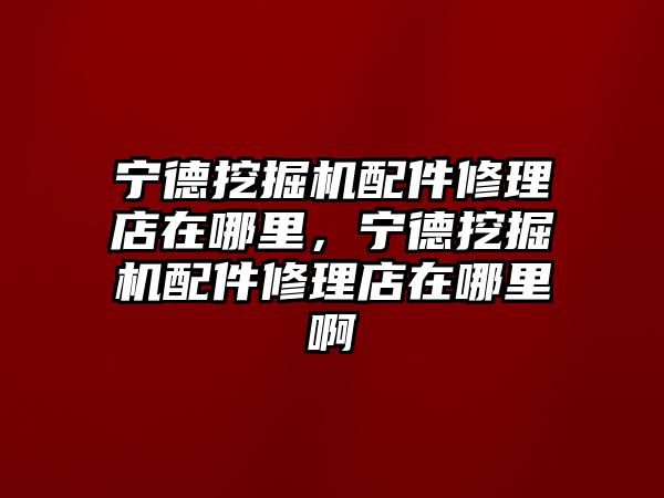 寧德挖掘機配件修理店在哪里，寧德挖掘機配件修理店在哪里啊