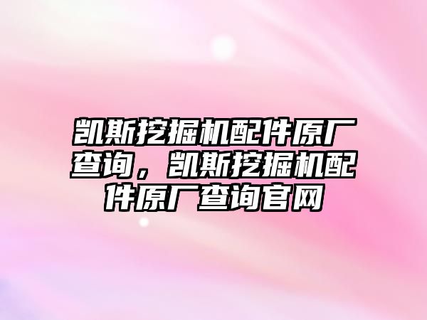 凱斯挖掘機配件原廠查詢，凱斯挖掘機配件原廠查詢官網