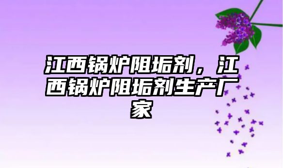 江西鍋爐阻垢劑，江西鍋爐阻垢劑生產廠家