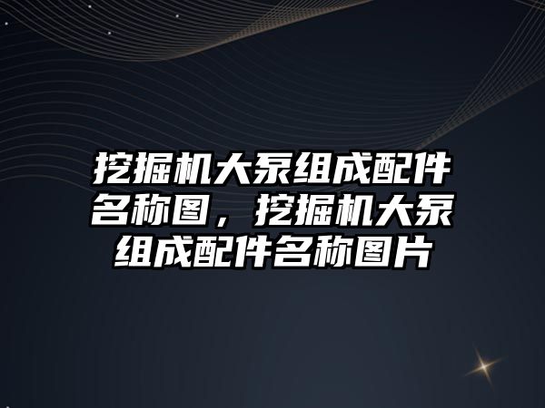 挖掘機大泵組成配件名稱圖，挖掘機大泵組成配件名稱圖片