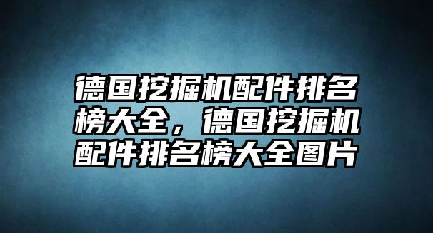 德國(guó)挖掘機(jī)配件排名榜大全，德國(guó)挖掘機(jī)配件排名榜大全圖片