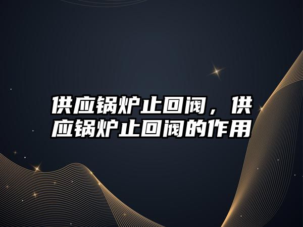 供應鍋爐止回閥，供應鍋爐止回閥的作用