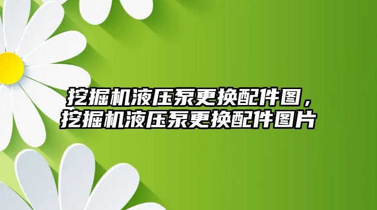 挖掘機液壓泵更換配件圖，挖掘機液壓泵更換配件圖片