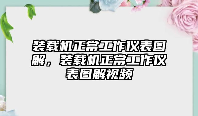 裝載機正常工作儀表圖解，裝載機正常工作儀表圖解視頻