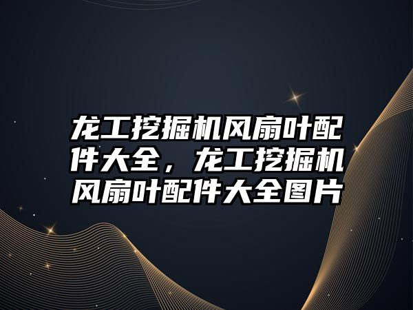 龍工挖掘機風扇葉配件大全，龍工挖掘機風扇葉配件大全圖片