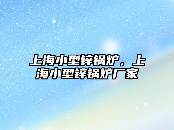 上海小型鋅鍋爐，上海小型鋅鍋爐廠家