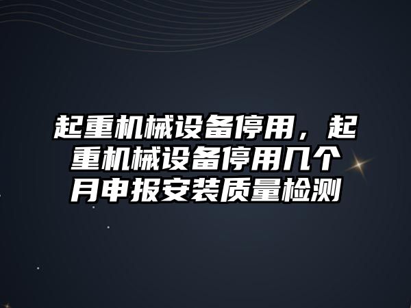 起重機械設備停用，起重機械設備停用幾個月申報安裝質量檢測