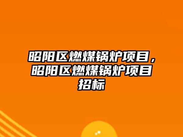 昭陽區燃煤鍋爐項目，昭陽區燃煤鍋爐項目招標