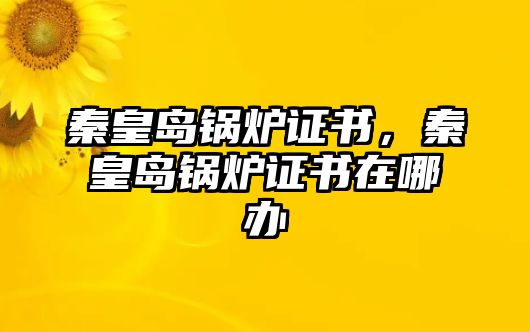 秦皇島鍋爐證書(shū)，秦皇島鍋爐證書(shū)在哪辦